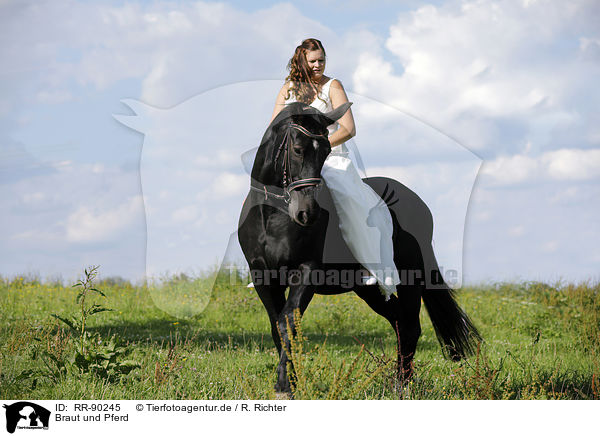 Braut und Pferd / bride and horse / RR-90245