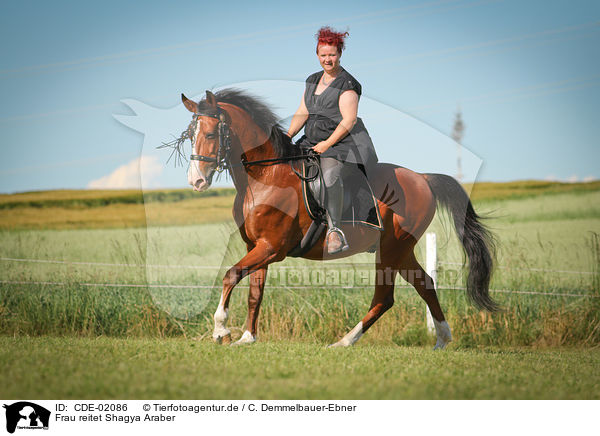 Frau reitet Shagya Araber / woman rides Shagya Arabian Horse / CDE-02086