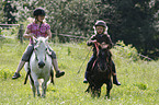 Kinder mit Shetland Ponys