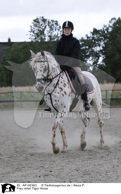 Frau reitet Tiger Horse / AP-06383