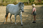 Junge und Pony