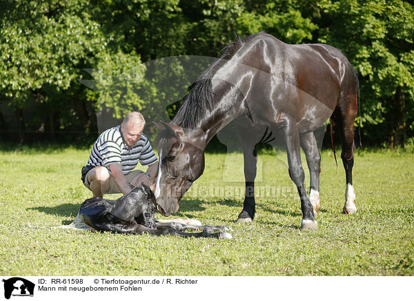 Mann mit neugeborenem Fohlen / man with newborn foal / RR-61598