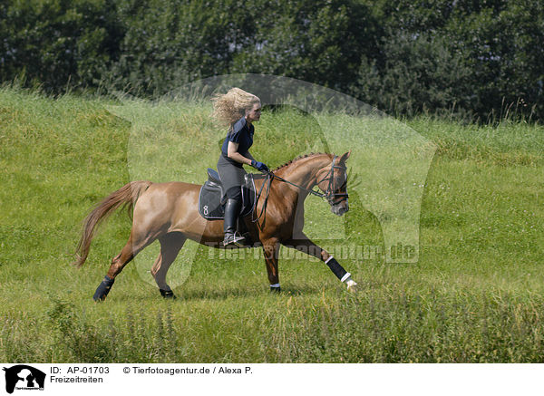Freizeitreiten / riding woman / AP-01703
