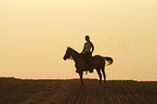 Reiter im Sonnenuntergang