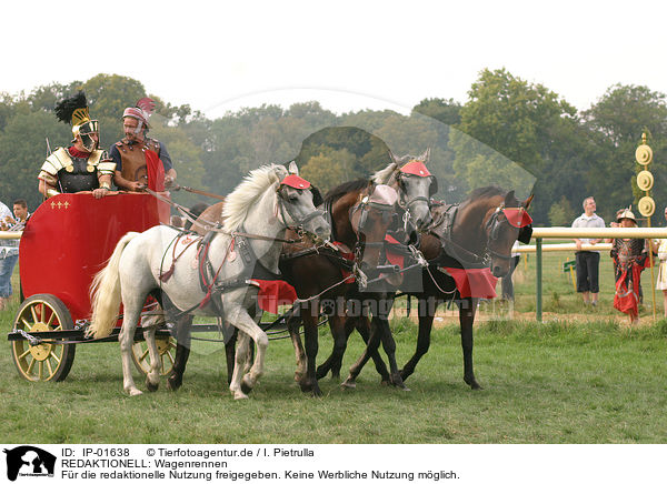 REDAKTIONELL: Wagenrennen / EDITORIAL: chariot race / IP-01638