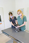 Tierrztinnen mit Katze