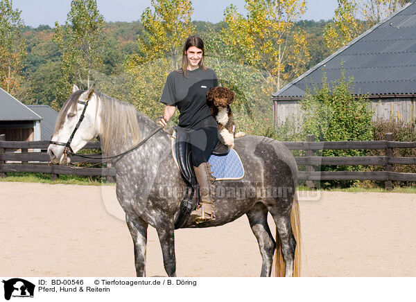 Pferd, Hund & Reiterin / horse, dog & horsewoman / BD-00546