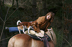 Frau mit Haflinger & Jack Russell Terrier