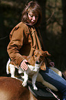 Frau mit Haflinger & Jack Russell Terrier