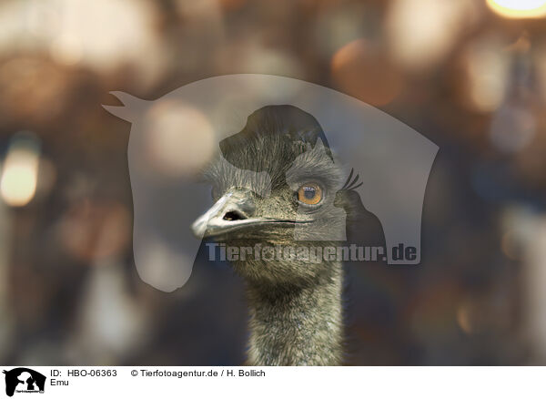 Emu / Emu / HBO-06363