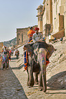 Menschen reiten auf Elefant