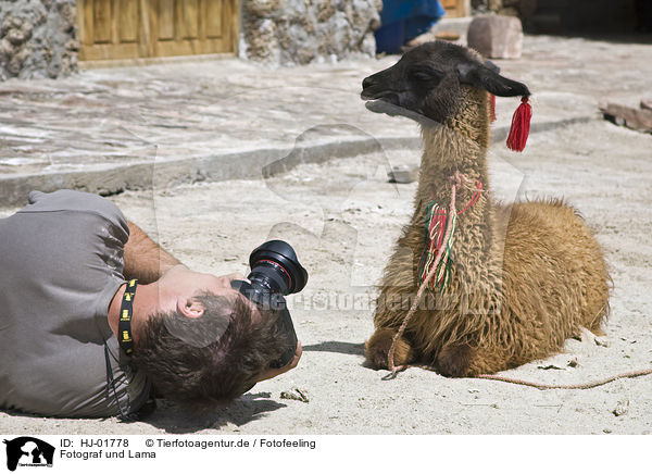 Fotograf und Lama / photographer and llama / HJ-01778