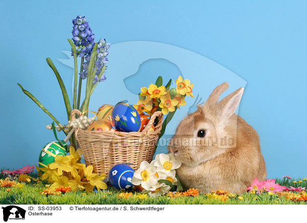 Osterhase / easter bunny / SS-03953