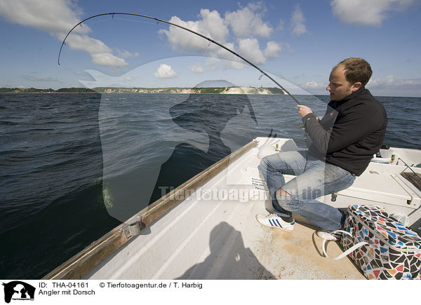 Angler mit Dorsch / fisher with cod / THA-04161