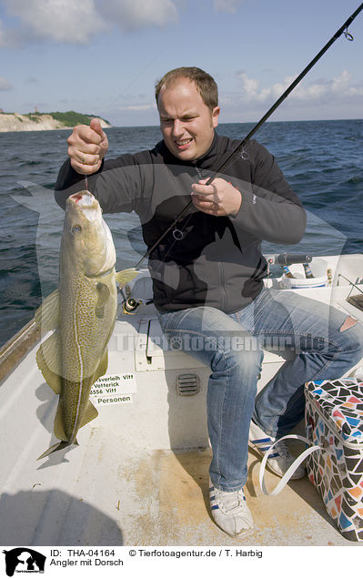 Angler mit Dorsch / fisher with cod / THA-04164