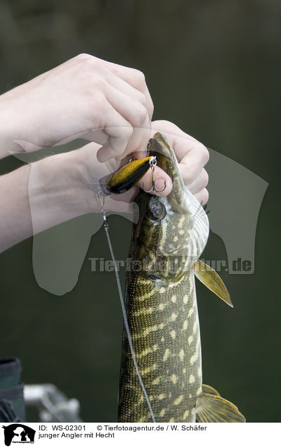 junger Angler mit Hecht / young angler with pike / WS-02301