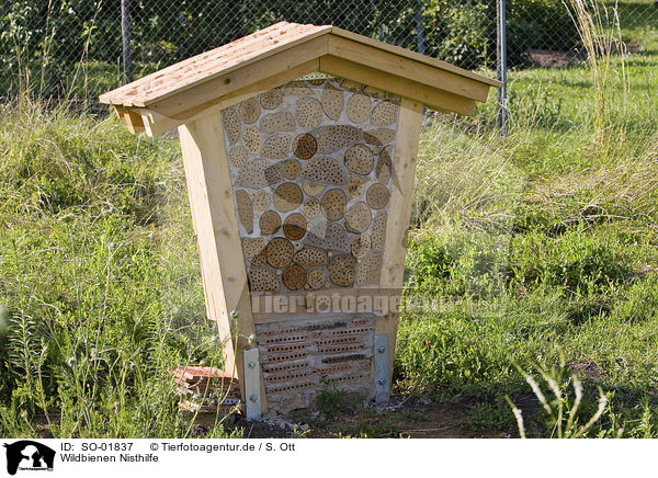 Wildbienen Nisthilfe / bee nesting place / SO-01837