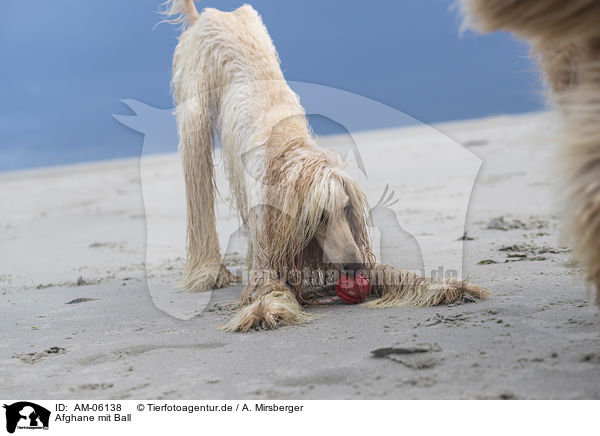 Afghane mit Ball / AM-06138