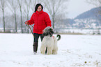 Frau mit Afghanischem Windhund