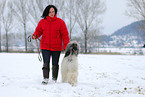 Frau mit Afghanischem Windhund