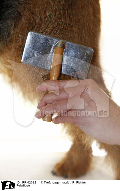 Fellpflege / grooming / RR-42032