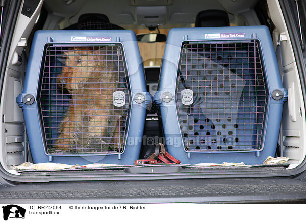 Transportbox / dog transport box / RR-42064