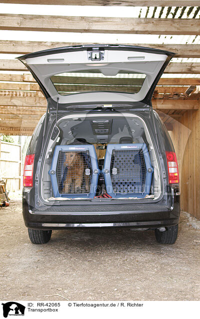 Transportbox / dog transport box / RR-42065