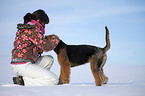 Airedale Terrier im Schnee