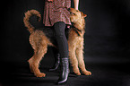 junge Frau mit Airedale Terrier