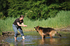 spielender Altdeutscher Schferhund