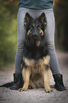 Frau mit Altdeutscher Schferhund