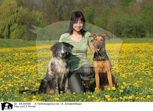 Frau und 2 Hunde / SS-50456