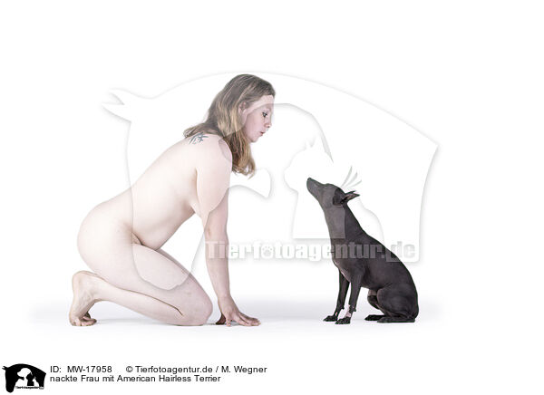 nackte Frau mit American Hairless Terrier / MW-17958