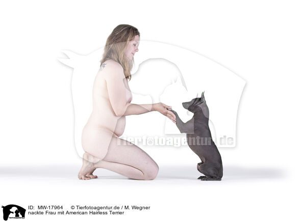 nackte Frau mit American Hairless Terrier / MW-17964