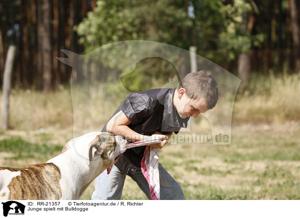 Junge spielt mit Bulldogge / RR-21357