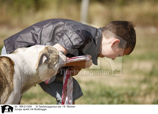 Junge spielt mit Bulldogge / RR-21358