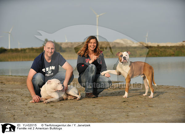 Familie mit 2 American Bulldogs / YJ-02015