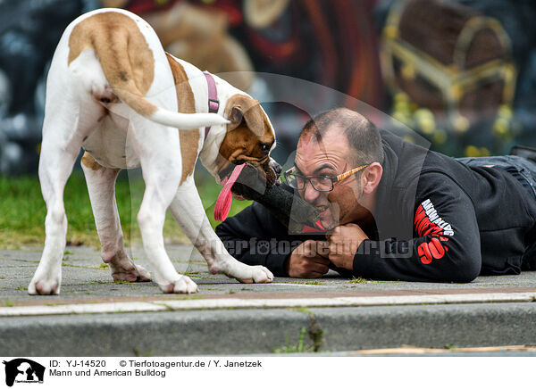 Mann und American Bulldog / YJ-14520