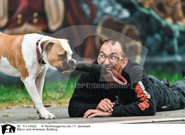 Mann und American Bulldog / YJ-14522