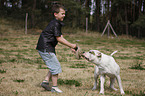 Junge spielt mit Bulldogge