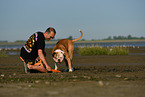 Mann und American Bulldog