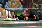 Mann und American Bulldog