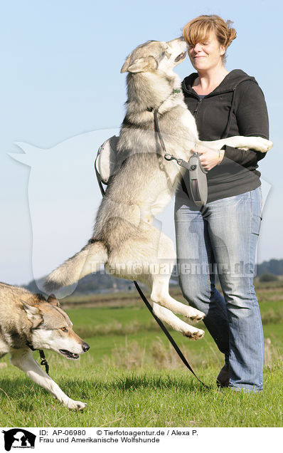 Frau und Amerikanische Wolfshunde / AP-06980