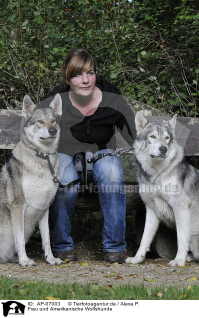 Frau und Amerikanische Wolfshunde / woman and american wolfdogs / AP-07003