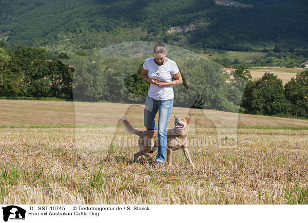 Frau mit Australian Cattle Dog / SST-10745
