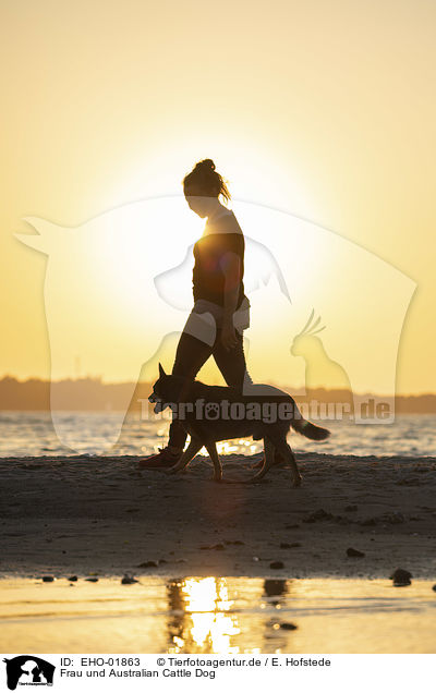 Frau und Australian Cattle Dog / woman and Australian Cattle Dog / EHO-01863