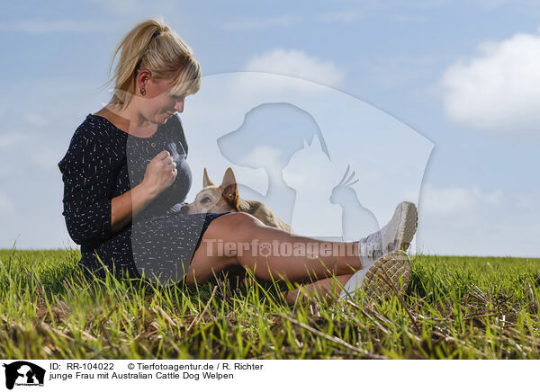 junge Frau mit Australian Cattle Dog Welpen / young woman with Australian Cattle Dog puppy / RR-104022