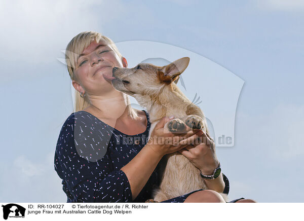 junge Frau mit Australian Cattle Dog Welpen / RR-104027