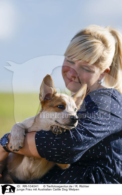 junge Frau mit Australian Cattle Dog Welpen / young woman with Australian Cattle Dog puppy / RR-104041