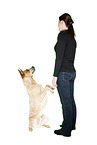 junge Frau mit Australian Cattle Dog